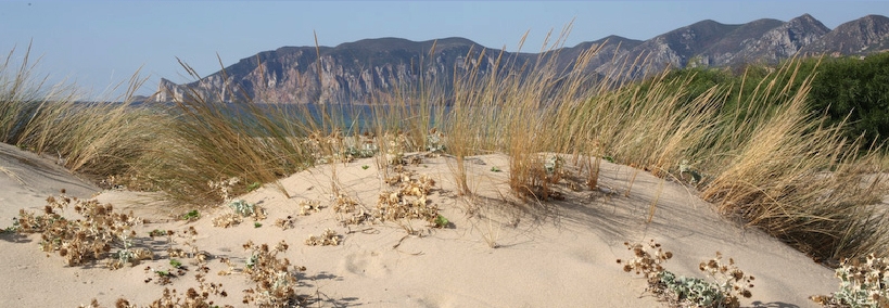 Spiaggia Plag’e Mesu - Nebida - Sulcis Iglesiente - Sud Sardegna